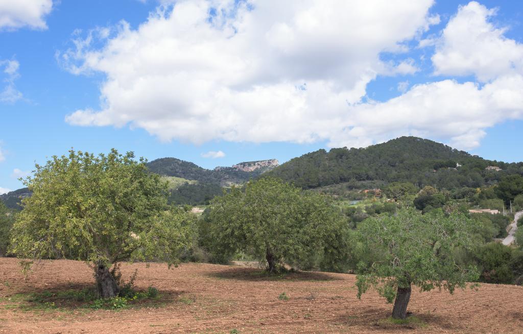 Finca Batlet S'Horta Luaran gambar